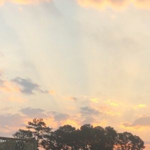 Meet your Posher, Bianca